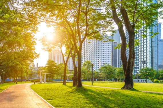 Terre Active® Terre-Pierre