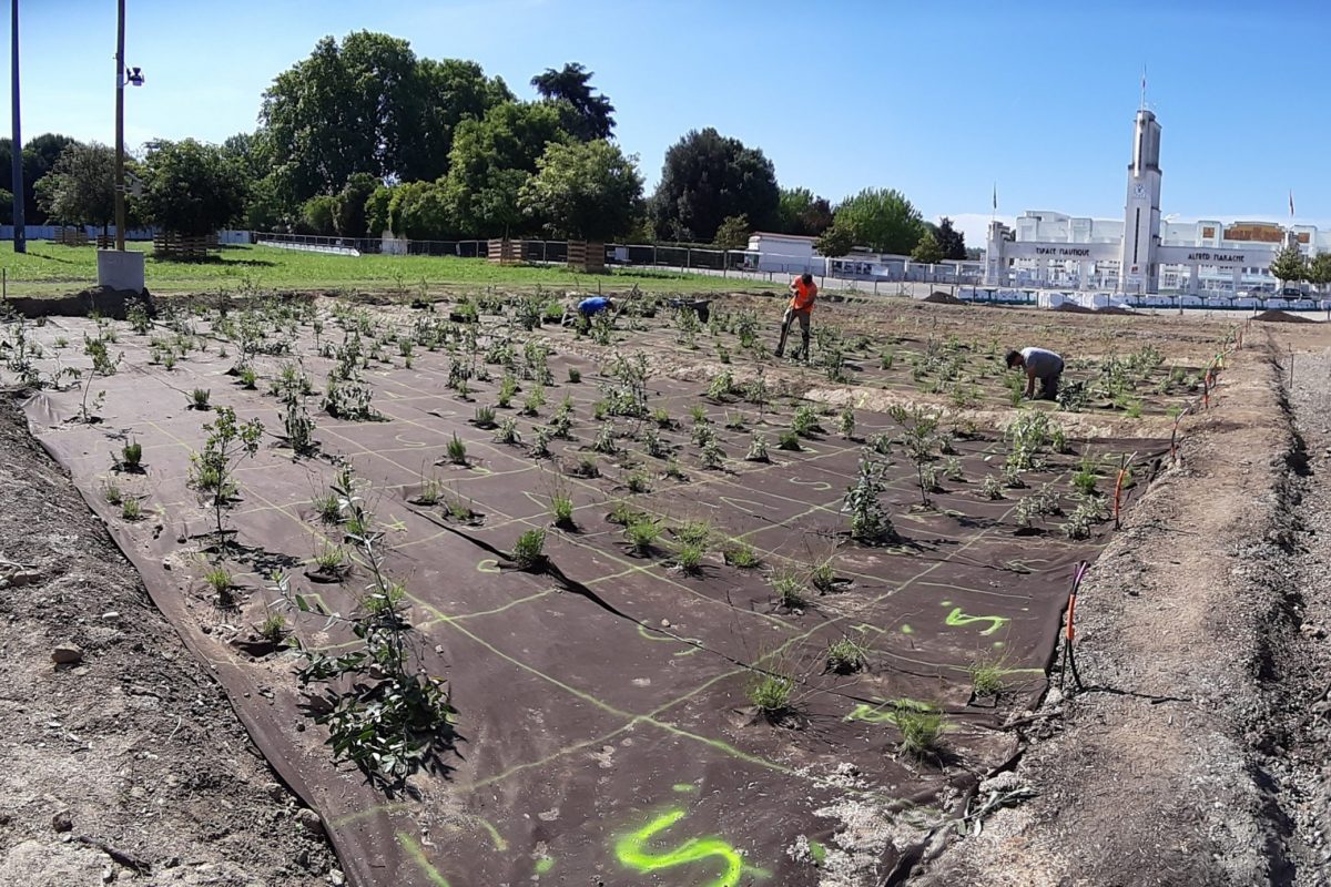 Aménagement de l’Ile du Ramier
