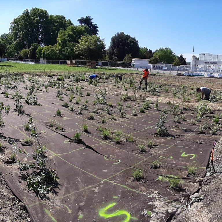 Aménagement de l’Ile du Ramier