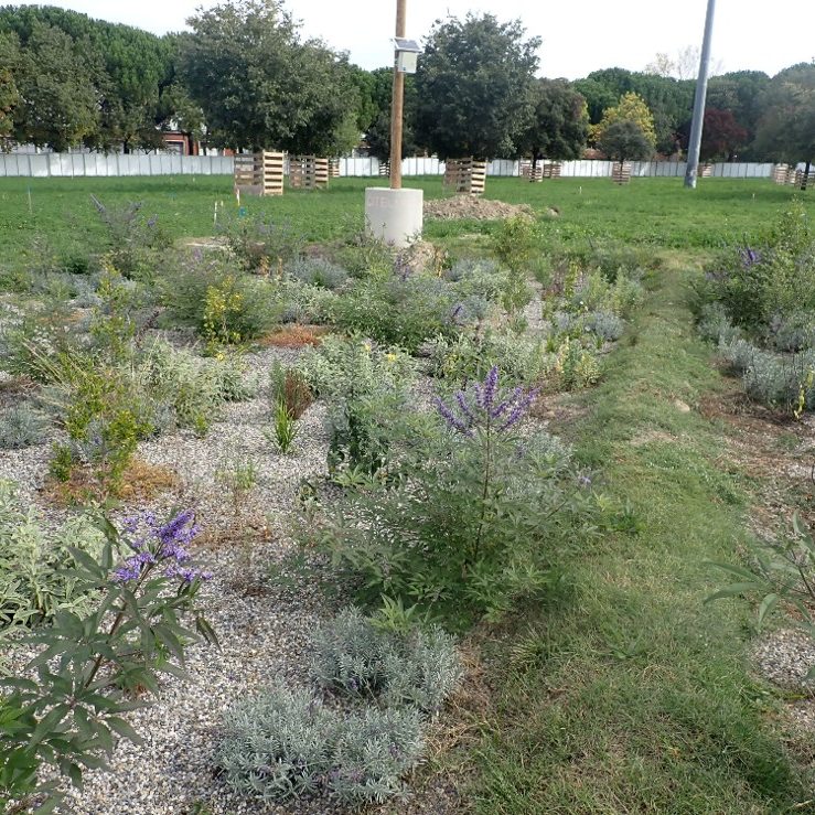 Aménagement de l’Ile du Ramier