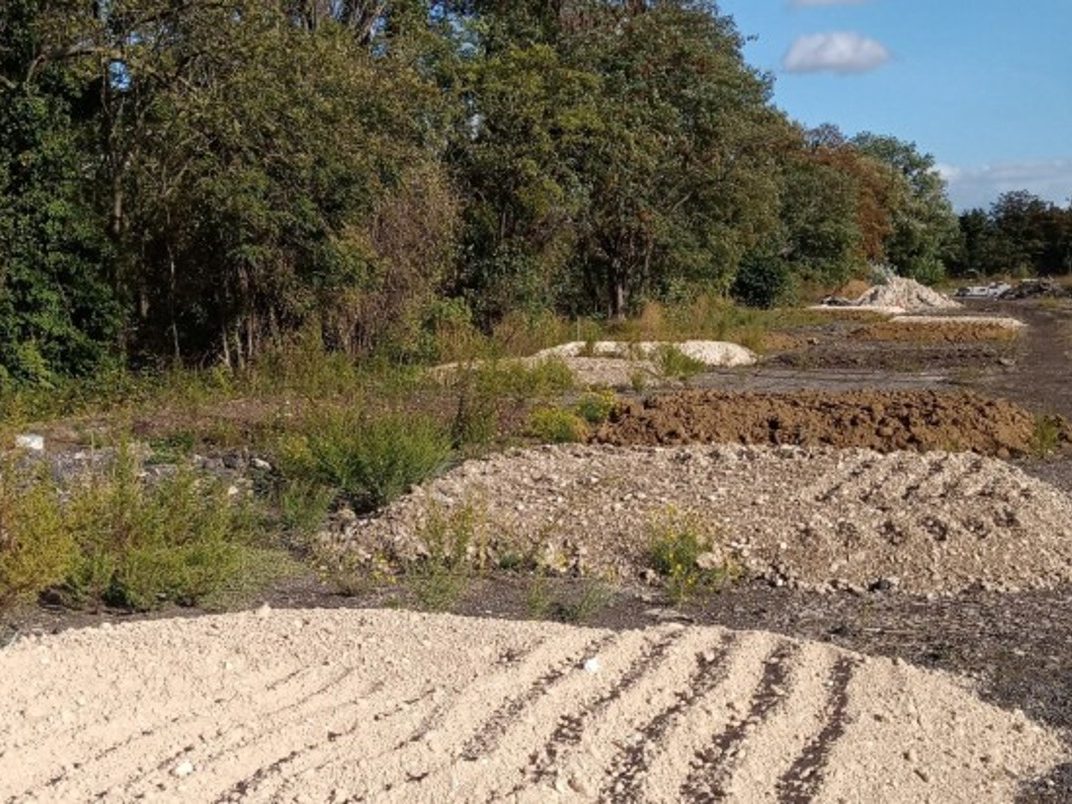 Fourniture et livraison de substrats fertiles pour culture d’arbres fruitiers