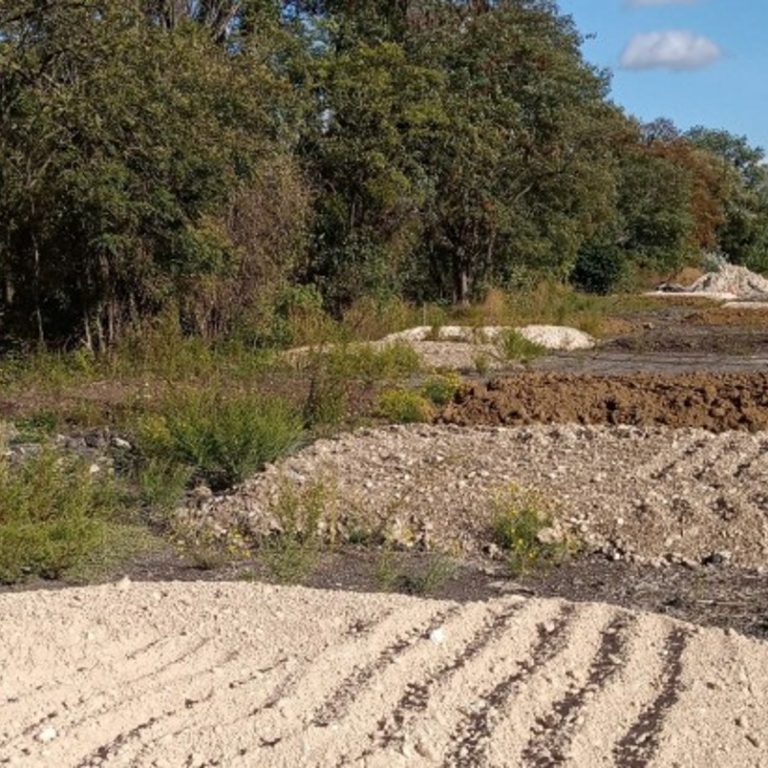 Des technosols sont expérimentés – © Clément Follet Fourniture et livraison de substrats fertiles pour culture d’arbres fruitiers