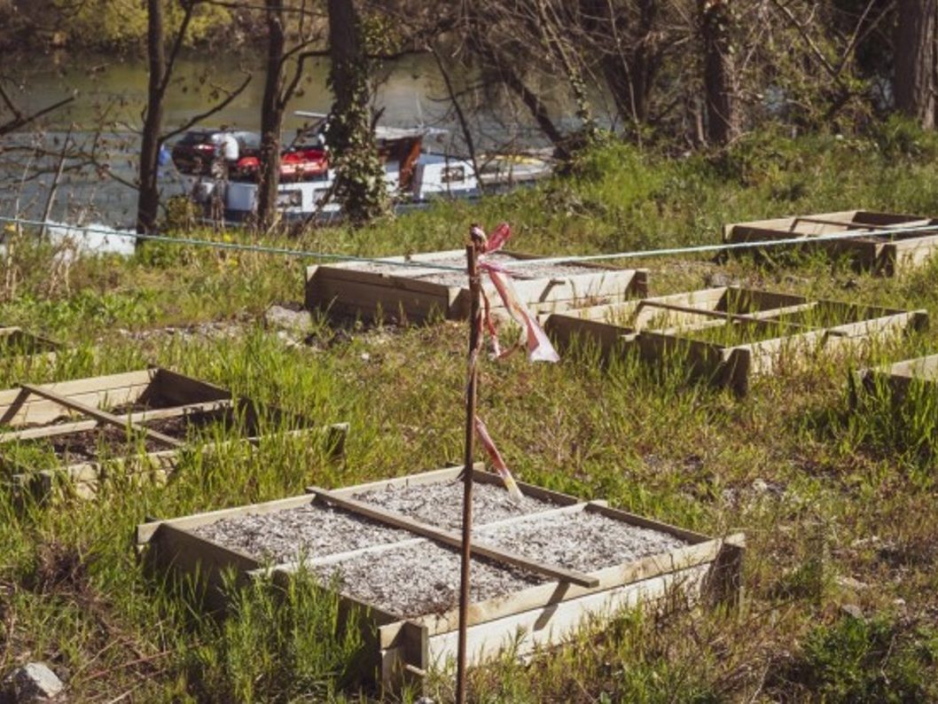 Fourniture et livraison de substrats fertiles pour culture d’arbres fruitiers