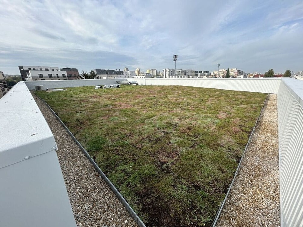 Végétalisation de toiture via bio-technosols