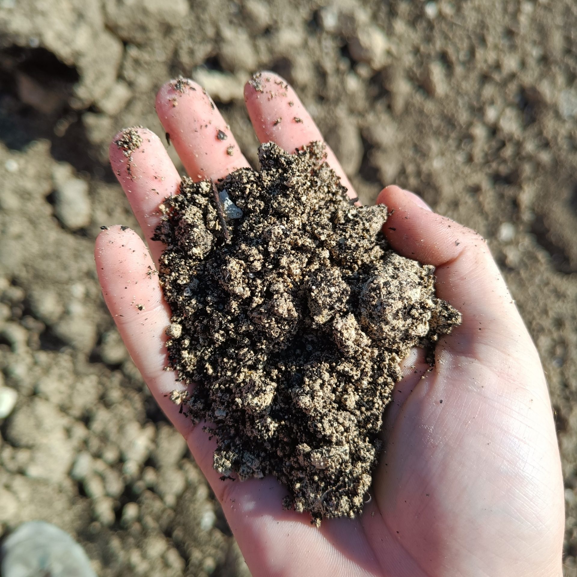 Géotechnique du Village des Jeux Olympiques