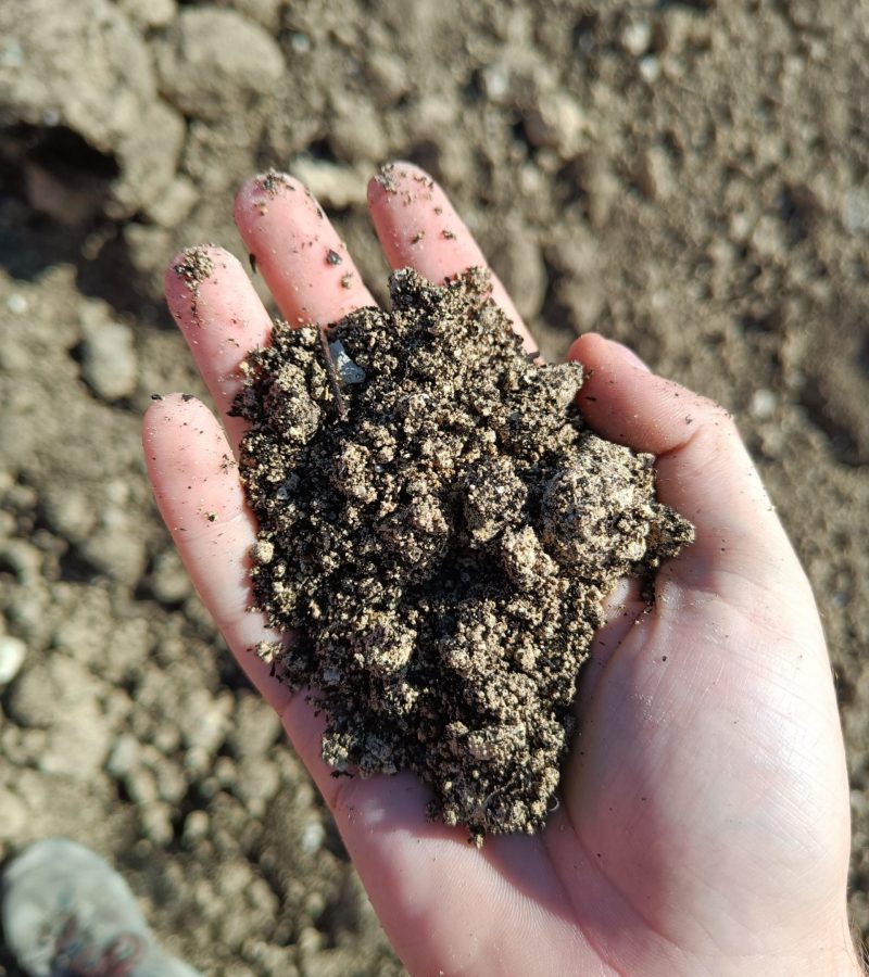 Géotechnique du Village des Jeux Olympiques